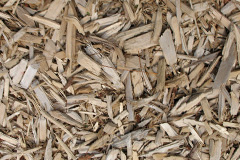 biomass boilers Vachelich
